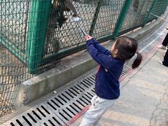 -宿豫区运河湾森林动物园