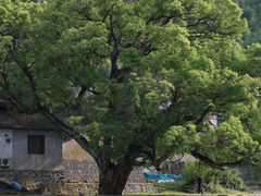 -鹿亭中村