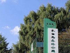 -长白岛森林公园
