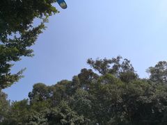 -金海椒罐罐鲢鱼(东方桂苑店)