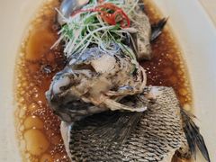 -骏莱海鲜鱼港(五角场店)