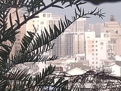 -阿浪山庄