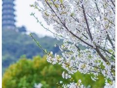 -虎丘山风景名胜区