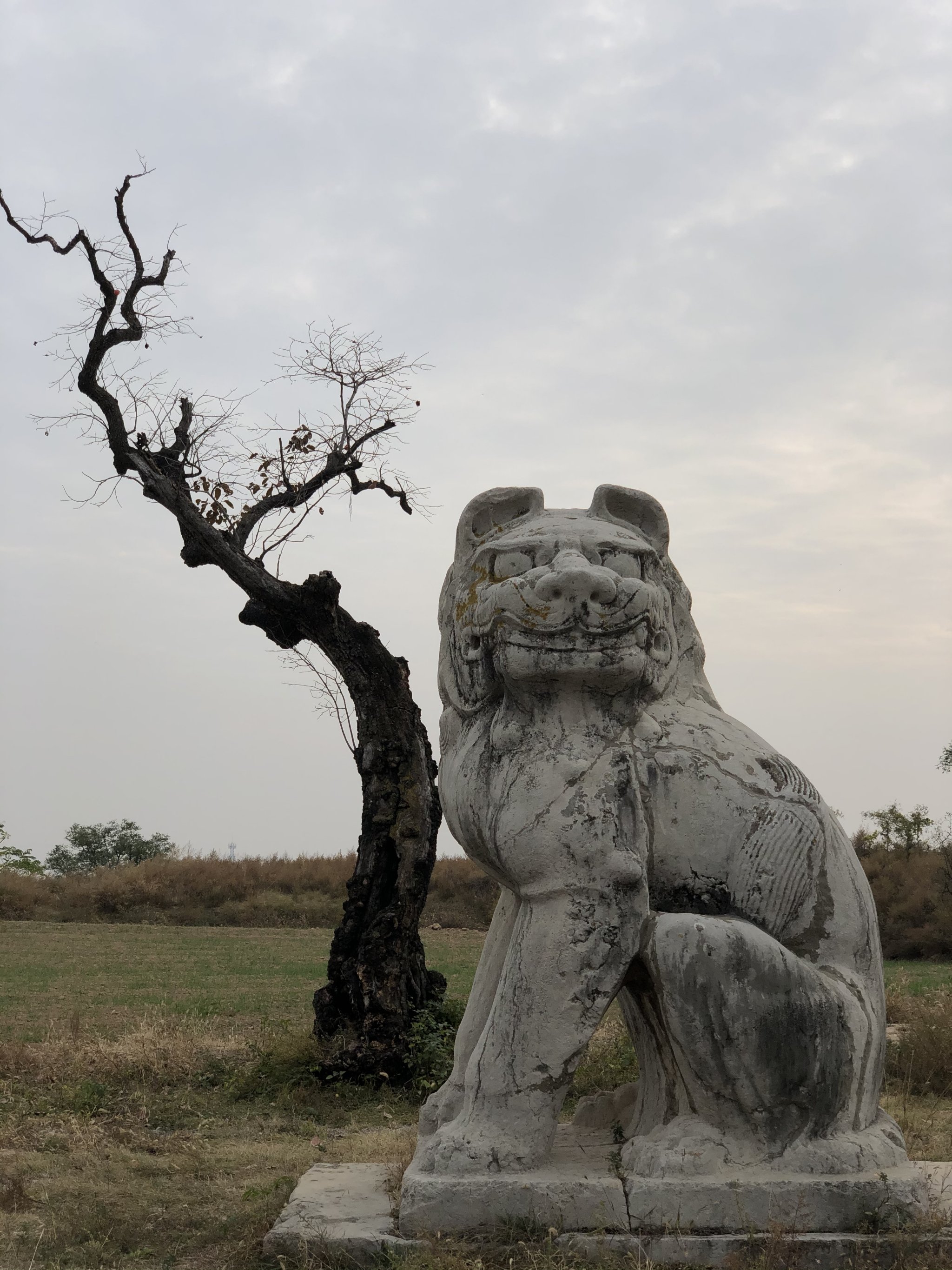 桥陵景区图片