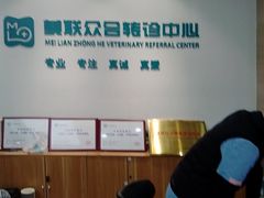 -美联众合动物医院·24h转诊中心