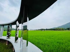 -艾米稻香小镇