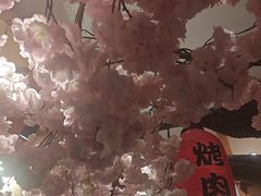 -九田家黑牛烤肉料理(华侨城店)