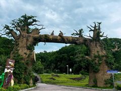 -梅岭月亮湾山体公园