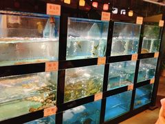 水产区-院8里·少城记忆老川菜(宽窄巷子店)