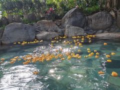 -湖泉半山温泉(湖泉生态园)