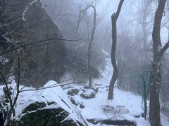 -紫金山山顶公园
