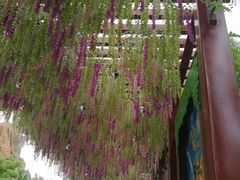 -芜湖方特东方神画