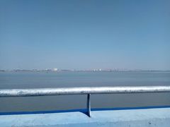 -大湾区中央湿地公园