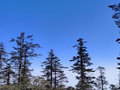 -瓦屋山景区