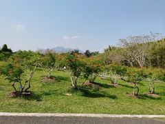 -中国科学院西双版纳热带植物园