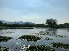-长兴太湖图影湿地文化园