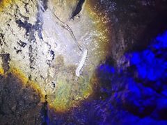 -寻龙山风景旅游区