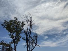 -苏州湾体育公园