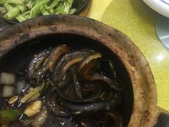 -台山美食一绝阿四台山黄鳝饭(阿四创作店)