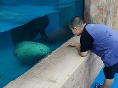 -秦皇岛乐岛海洋王国