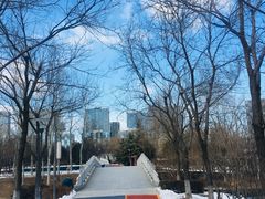 -大兴滨河森林公园