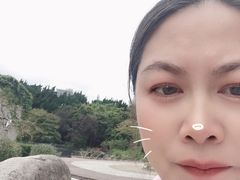 -嘉定紫藤园