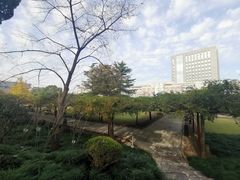 -嘉定紫藤园