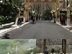 -灵谷景区