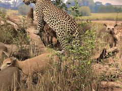 -陕西自然博物馆