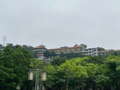 -顺峰山公园