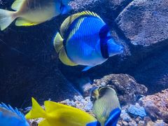 -多彩贵州城极地海洋世界