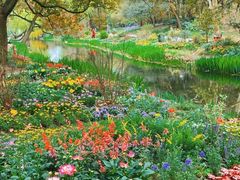 -上海共青森林公园