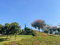 -东莞植物园