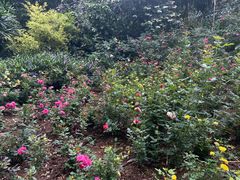 -人民公园(罗湖区)