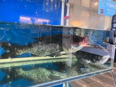-上地宴·中关村的会客厅(清河高铁站店)