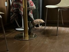 -大象厨房(重庆道店)