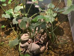 -邈墨茶馆(凤起路店)