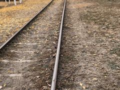 -永定河休闲森林公园