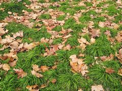 -白塘生态植物园