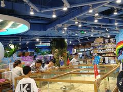 -龟与熊猫宠物公园(南坪店)