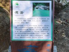 -广州白江湖森林公园