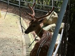 -苏州上方山国家森林公园