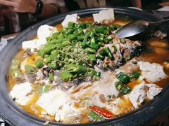 -探鱼·鲜青椒爽麻烤鱼(番禺万达店)