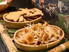 -季季山·云南野生菌火锅(上海首店)