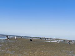 -辽宁团山国家级海洋公园