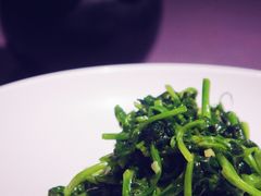 豌豆苗-子福慧(虹桥店)