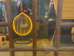 -鱼乐岛餐厅·户外花园主题餐厅