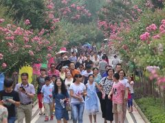 -武汉紫薇都市田园