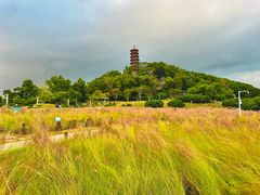 -红花山公园