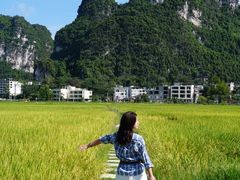 -明仕田园